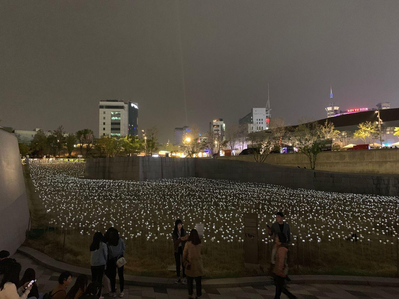2025 Dongdaemun Night Market Visit! - Enjoy all the attractions from lively DDP night market!